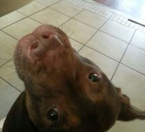 541835_10151940428690485_909557876_n